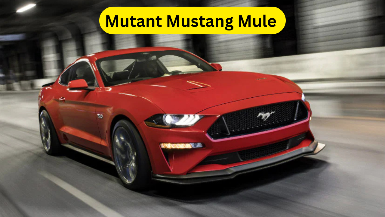 Mutant Mustang Mule