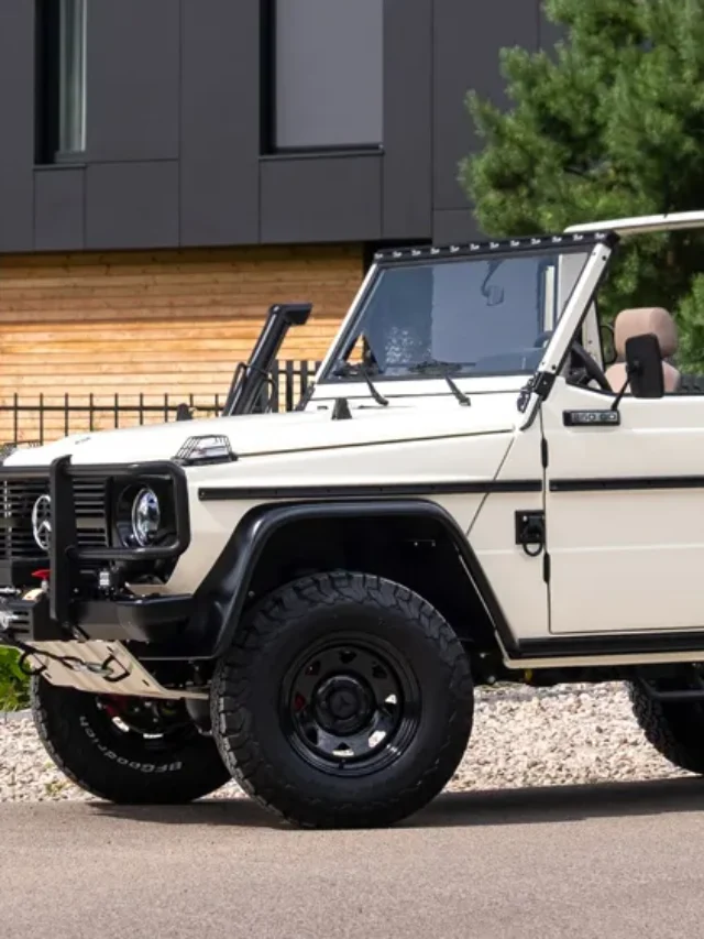 Expedition Motor Company 250GD Wolf (US) Review